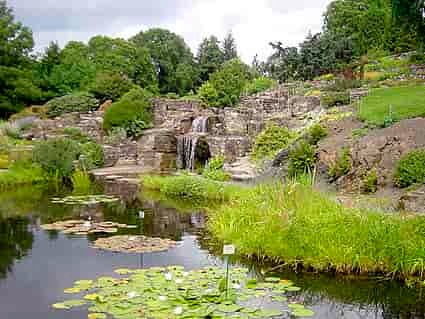 Fjellhagen i Botanisk Hage